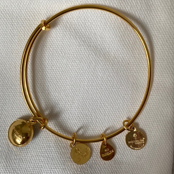 Alex + Ani amethyst charm bangle, Color: gold finish - Picture 7 of 9